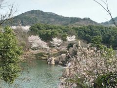 -白马涧龙池景区