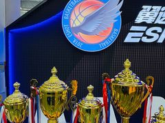 -翼速篮球·儿童体适能·中考体育(鲁能城店)