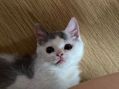 -1013 PET SHOP 宠物商店(近铁城市广场店)