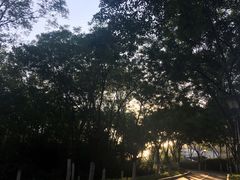 -滨河世纪广场公园