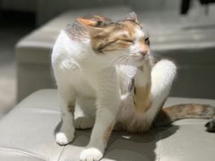 -上海第一八佰伴
