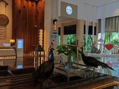 -西双版纳融创皇冠假日度假酒店