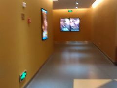 -幸福蓝海国际影城(扬名IMAX店)