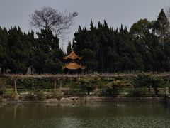 -嘉定紫藤园