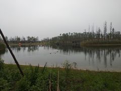 -白鹭湾湿地公园