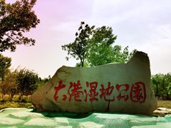 -大港湿地公园
