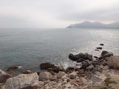 -西涌国际滨海旅游区