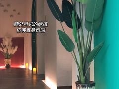-泰乐道·SPA·按摩·足道(坡子街店)