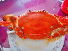 -晓伟海鲜家常菜