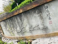 -重庆彩云湖湿地公园