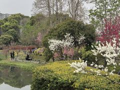 -圩墩遗址公园