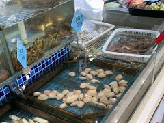 -天盛海鲜烧烤大排档·本地小海鲜·牟平腿穗子(幸福店)