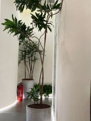 -美愈美肤MEIYU SKIN