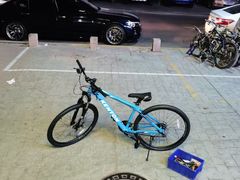 -道路口单车爱瓦士dahon大行