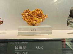-中国地质博物馆