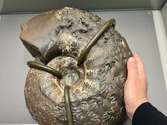 -大阪市立自然史博物馆