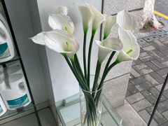 -福奈特洗衣洗鞋(宝华广场店)