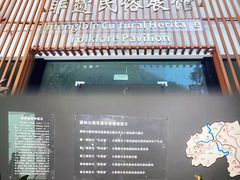 -西双版纳原始森林公园