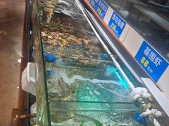 -年辉渔村·非遗传承餐厅(新丰江店)