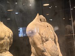 -秦始皇帝陵博物院(兵马俑)