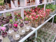 -KKV(深圳宏发大仟里店)