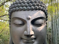 -杭州植物园