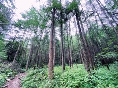 -秦岭风景区