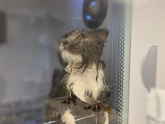 -comecome来吧宠物(奥克斯中心店)