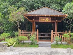 -广州白江湖森林公园