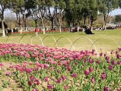 -院士公园