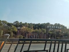 -南昌之星游乐场