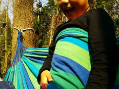 -合肥滨湖国家森林公园