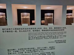 -侵华日军南京大屠杀遇难同胞纪念馆
