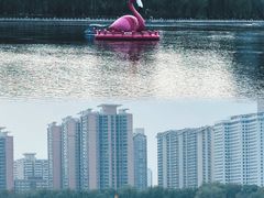 -莲花池公园