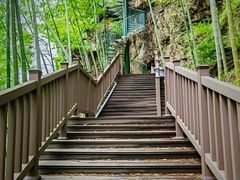 -宜兴龙背山森林公园