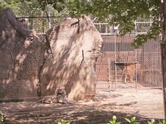 -秦皇岛野生动物园
