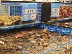 -东海怡品海鲜豆捞(舟宿夜江店)