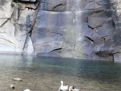 -黑龙潭风景区