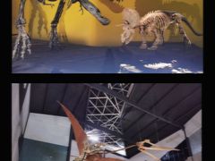 -湖南省地质博物馆