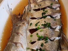 -七的湖·江南蟹舫·阳澄湖农家菜(蟹舫苑店)