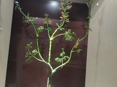 -辽宁古生物博物馆