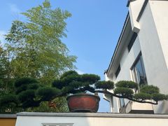 -龙华寺