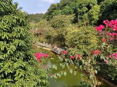 -广州市帽峰山景区