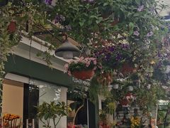 -溪岸路花鸟市场