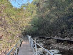 -九龙潭景区