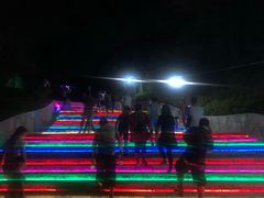 -大塘金香草谷