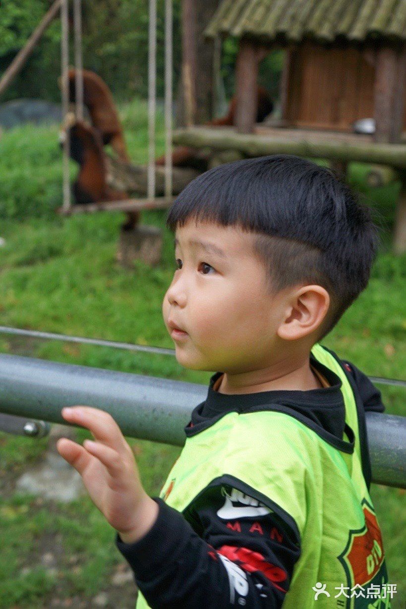 人生第一次 春游大作战