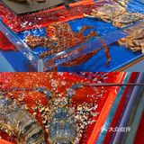 广州探店|海鲜🦞快到我碗里来！！