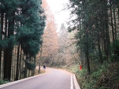 -山王坪喀斯特国家生态公园