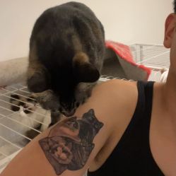 -雕哥的纹身店A3 TATTOO&纹身培训